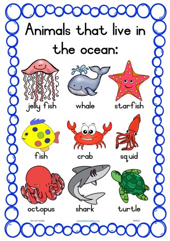 A3 Animals that live in the ocean T2_1
